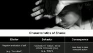 Human Emotion: Shame and Guilt 